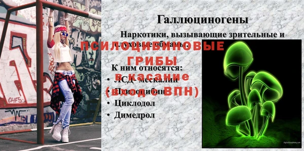 трава Беломорск