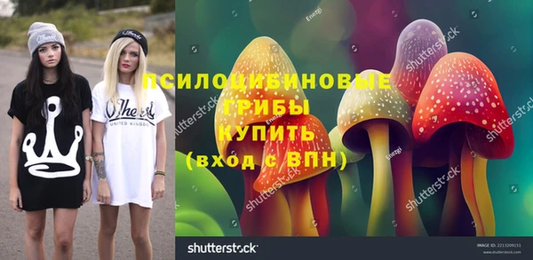 каннабис Белокуриха