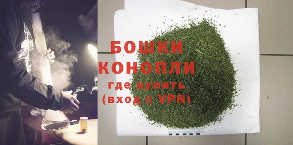 индика Михайлов