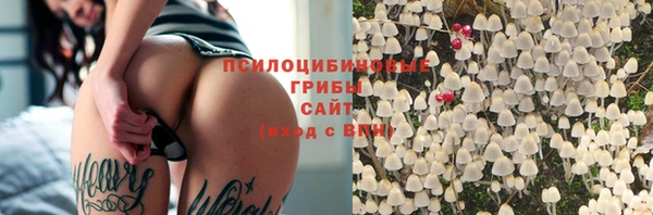 каннабис Белокуриха