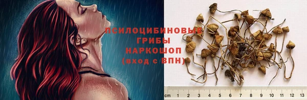 каннабис Белокуриха