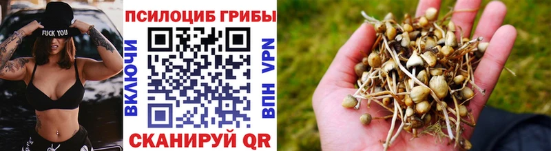 ОМГ ОМГ вход Жуковка Галлюциногенные грибы мицелий